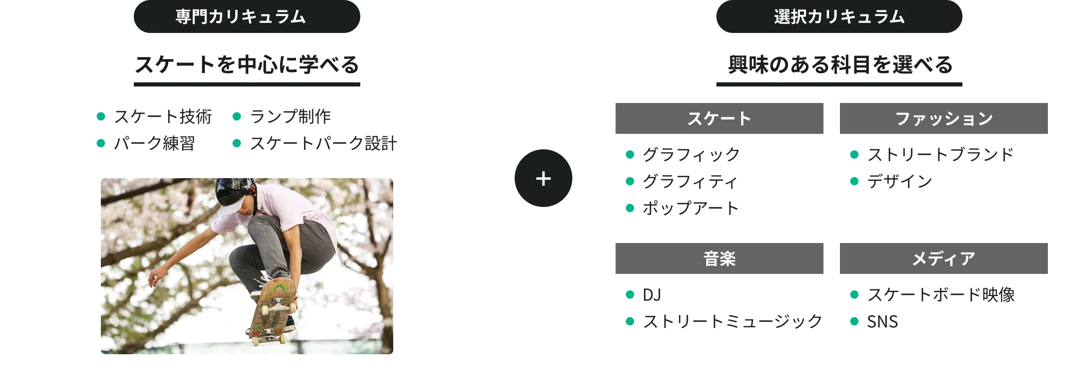 カリキュラム